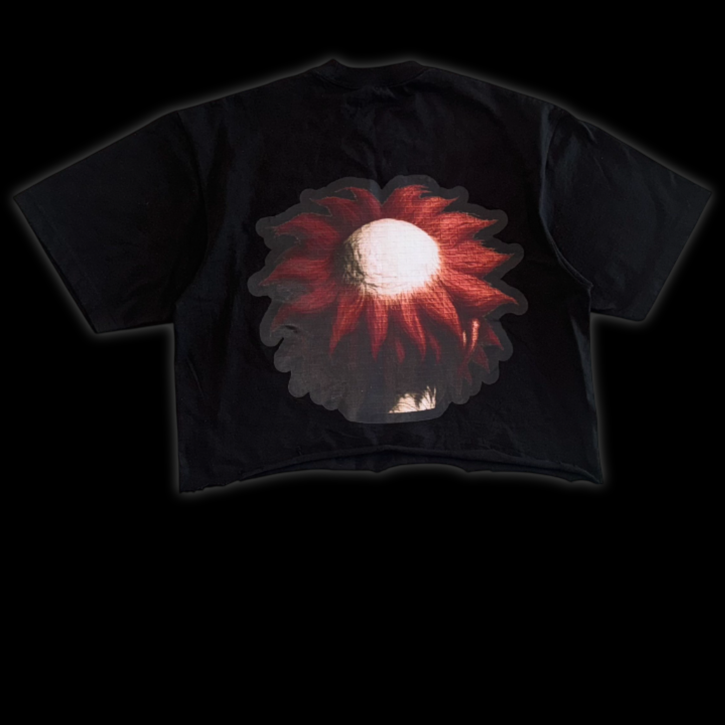 Clown Cropped Tee